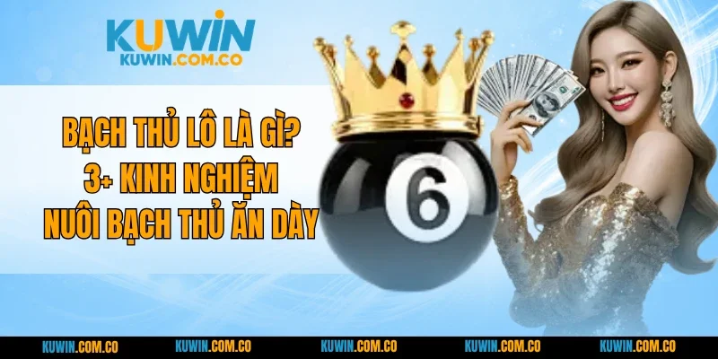 Bạch Thủ Lô Là Gì? 3+ Kinh Nghiệm Nuôi Bạch Thủ Ăn Dày