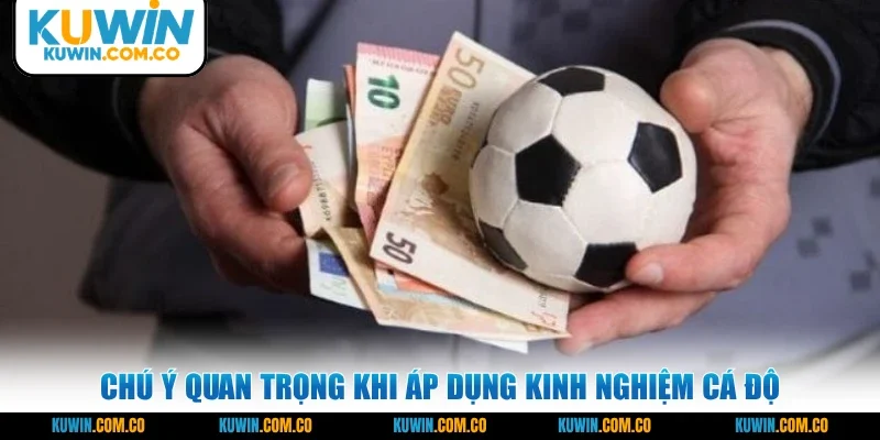 Chú ý quan trọng khi áp dụng kinh nghiệm cá độ