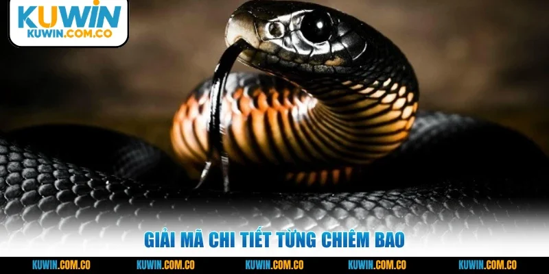 Giải mã chi tiết từng chiêm bao